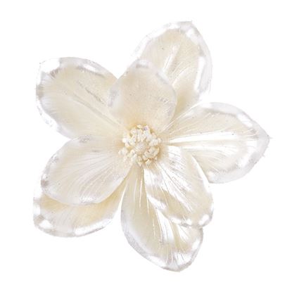 premier-magnolia-clip-on