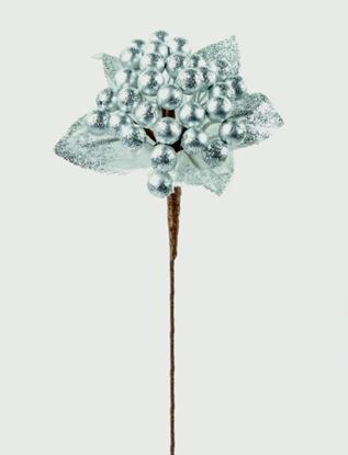 premier-delarobia-pick