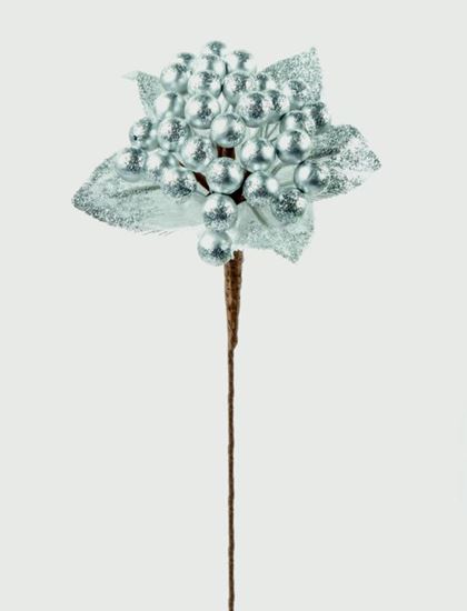 premier-delarobia-pick