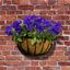 ambassador-flat-bar-wall-basket