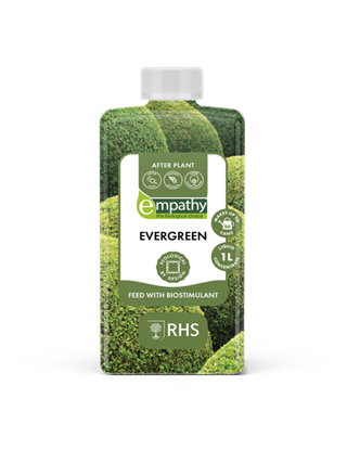 empathy-after-plant-evergreen