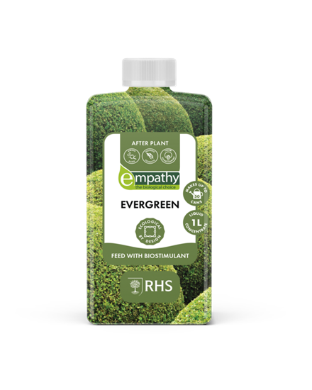 empathy-after-plant-evergreen