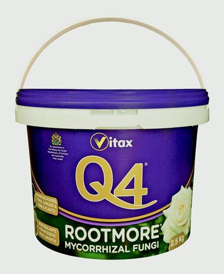 vitax-q4-rootmore