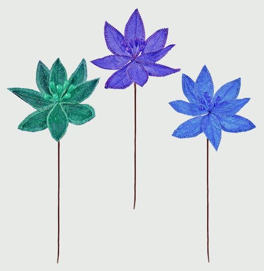 premier-mixed-poinsettia