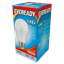 eveready-led-gls-14w