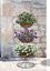 ambassador-3-tier-fountain-with-coco-liner