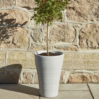 sankey-hereford-tall-planter