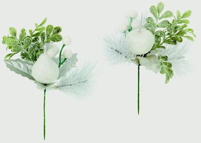 premier-white-apple--pear-pick