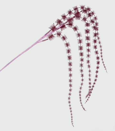 premier-glitter-hanging-spray