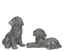 kaemingk-poly-magnesium-dog