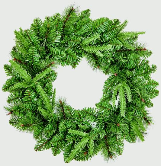 premier-norfolk-pine-wreath