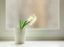 d-c-fix-static-cling-window-film-ilva