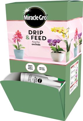 miracle-gro-drip--feed-orchid