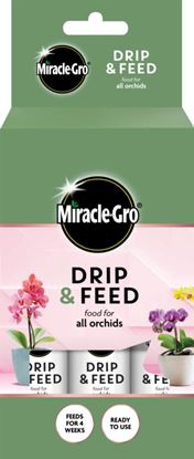miracle-gro-drip--feed-orchid