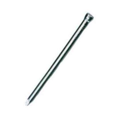 securit-oval-nails-bright-pack-of-10