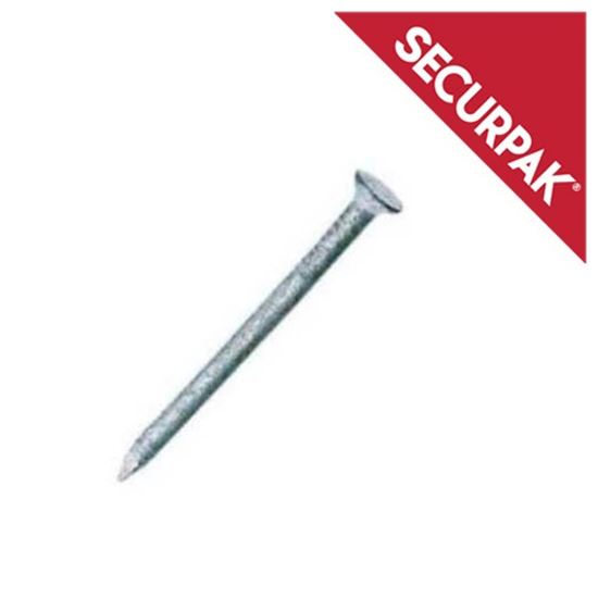 securpak-round-wire-nails-galvanised-120g
