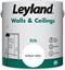 leyland-walls--ceilings-silk-25l