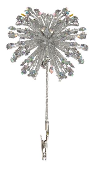 premier-sparkle-burst-clip-on