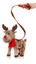 premier-animated-walkingsinging-reindeer