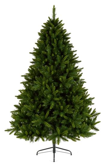 premier-king-pine-tree