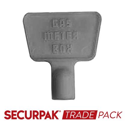 securpak-meter-box-key