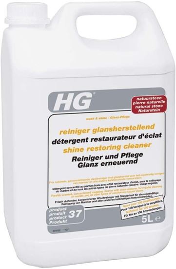 hg-shine-restoring-cleaner