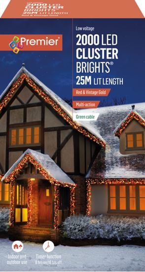 premier-2000-led-multi-action-cluster-brights-with-timer