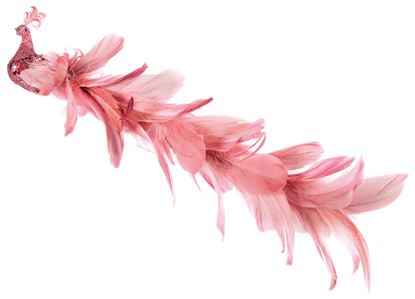 premier-glitter-peacock-long-tail