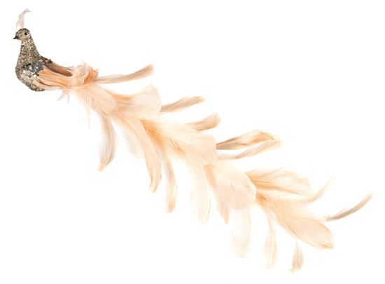 premier-glitter-peacock-long-tail