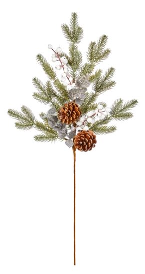 premier-frozen-cone-pick