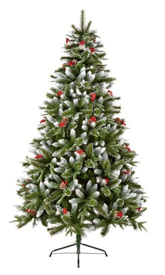 premier-new-jersey-spruce-bristle