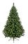 premier-rocky-mountain-pine-snow-tip-cone