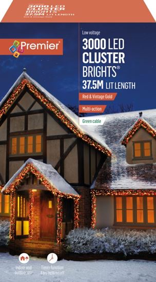 premier-3000-led-multi-action-cluster-brights-with-timer