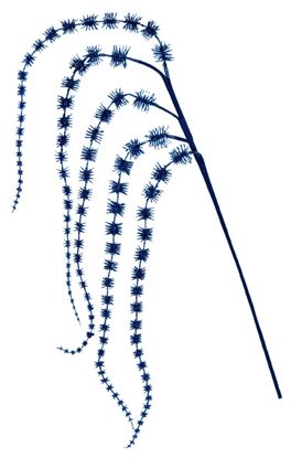 premier-glitter-hanging-spray