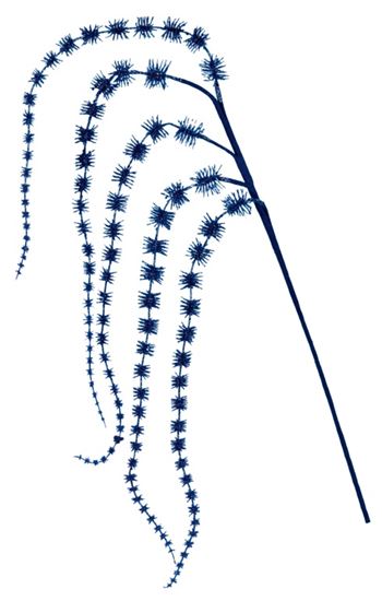 premier-glitter-hanging-spray