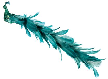 premier-glitter-peacock-long-tail