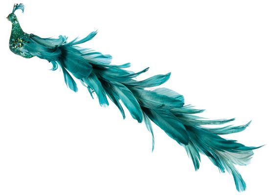 premier-glitter-peacock-long-tail