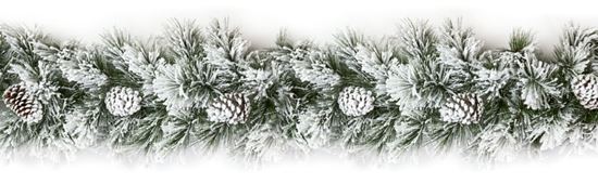 premier-lumi-garland