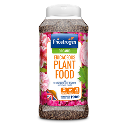 phostrogen-ericaceous-plant-food
