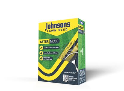 johnsons-lawn-seed-after-moss
