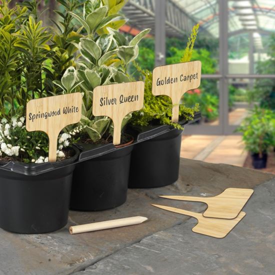 ambassador-bamboo-t-labels--pencil-10-piece