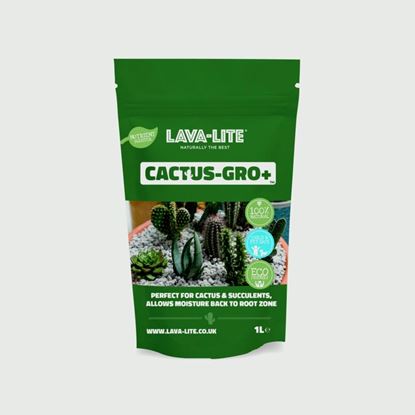 lava-lite-cactus---gro
