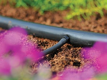 hozelock-straight-connector