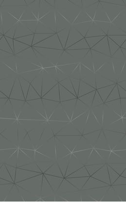 d-c-fix-self-adhesive-film---tico-silver