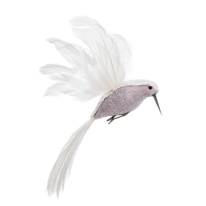 premier-white-humming-bird