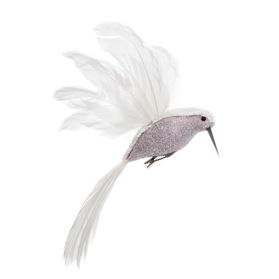 premier-white-humming-bird