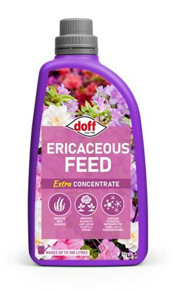 doff-azalea-camillia--rhodedendron-feed-concentrate