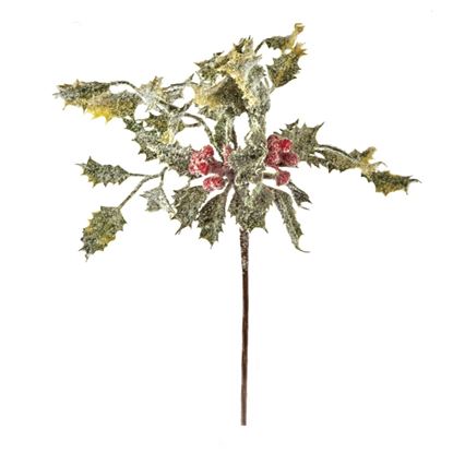 premier-holly-berry-pick