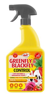 doff-greenfly--blackfly-control
