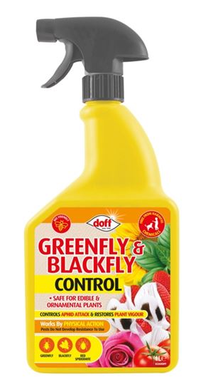 doff-greenfly--blackfly-control